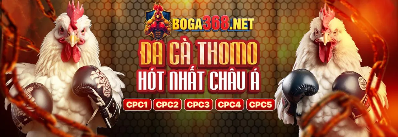 Đá Gà Trực Tuyến win888 nhà cái